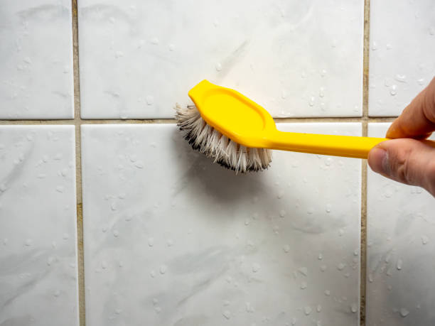 Best Attic Mold Removal  in Long Grove, IL