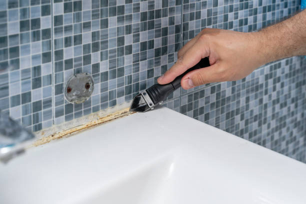 Best Mold Damage Repair  in Long Grove, IL