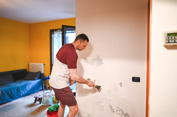 Reliable Long Grove, IL Mold Removal Solutions